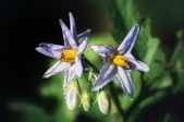 Enlarge photo 27
