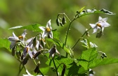 Enlarge photo 33