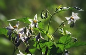 Enlarge photo 34