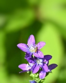 Enlarge photo 39