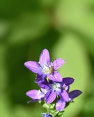 Enlarge photo 41