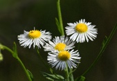 Enlarge photo 42