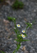 Enlarge photo 46