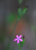 Enlarge photo 47