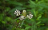 Enlarge photo 59