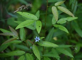 Enlarge photo 67