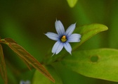 Enlarge photo 65