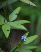 Enlarge photo 66