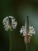 Enlarge photo 83