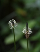 Enlarge photo 82