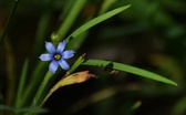 Enlarge photo 90