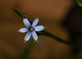 Enlarge photo 88