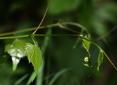 Enlarge photo 89