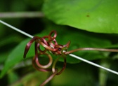 Enlarge photo 92