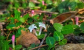 Enlarge photo 30