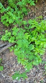 Enlarge photo 38