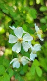 Enlarge photo 44