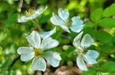 Enlarge photo 43