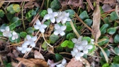 Enlarge photo 37