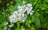Enlarge photo 46