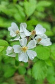 Enlarge photo 42