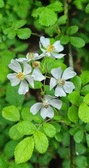 Enlarge photo 39