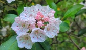 Enlarge photo 63