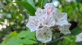 Enlarge photo 47