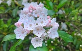 Enlarge photo 48