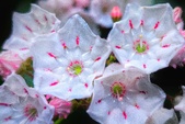 Enlarge photo 66