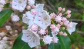 Enlarge photo 49