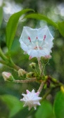 Enlarge photo 51