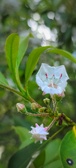 Enlarge photo 52