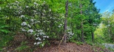 Enlarge photo 53