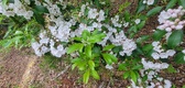 Enlarge photo 54