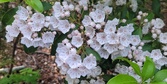 Enlarge photo 55