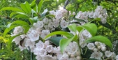 Enlarge photo 56