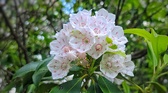 Enlarge photo 57