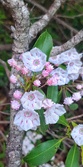 Enlarge photo 58