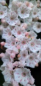 Enlarge photo 59
