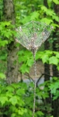 Enlarge photo 61