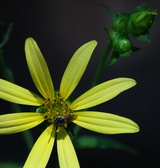 Enlarge photo 27