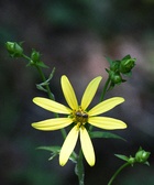 Enlarge photo 31