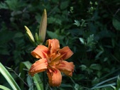 Enlarge photo 43