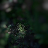 Enlarge photo 49