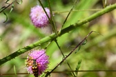 Enlarge photo 53