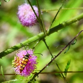 Enlarge photo 55