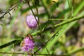 Enlarge photo 58