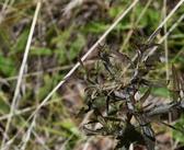 Enlarge photo 87