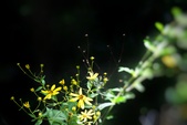 Enlarge photo 85